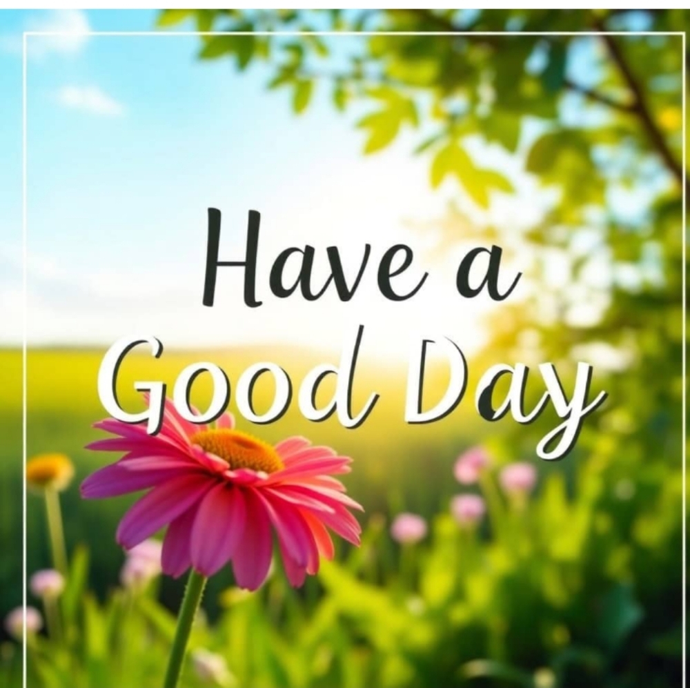 Have a wonderful day!